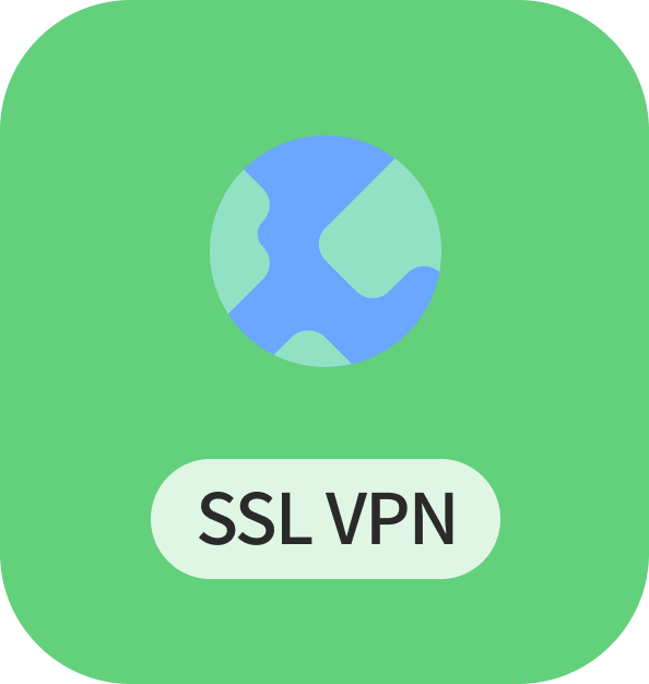 ssl vpn