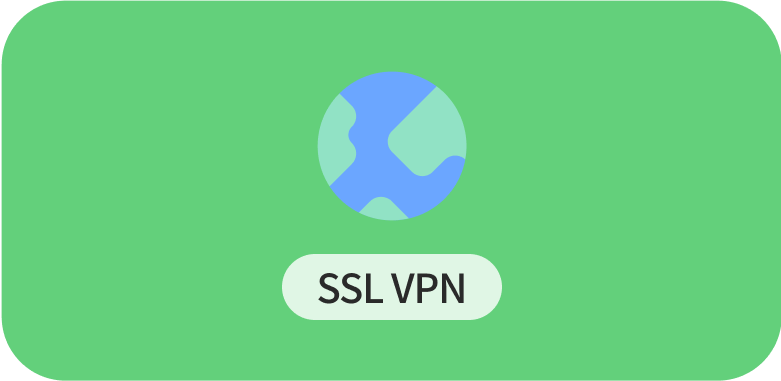 ssl vpn